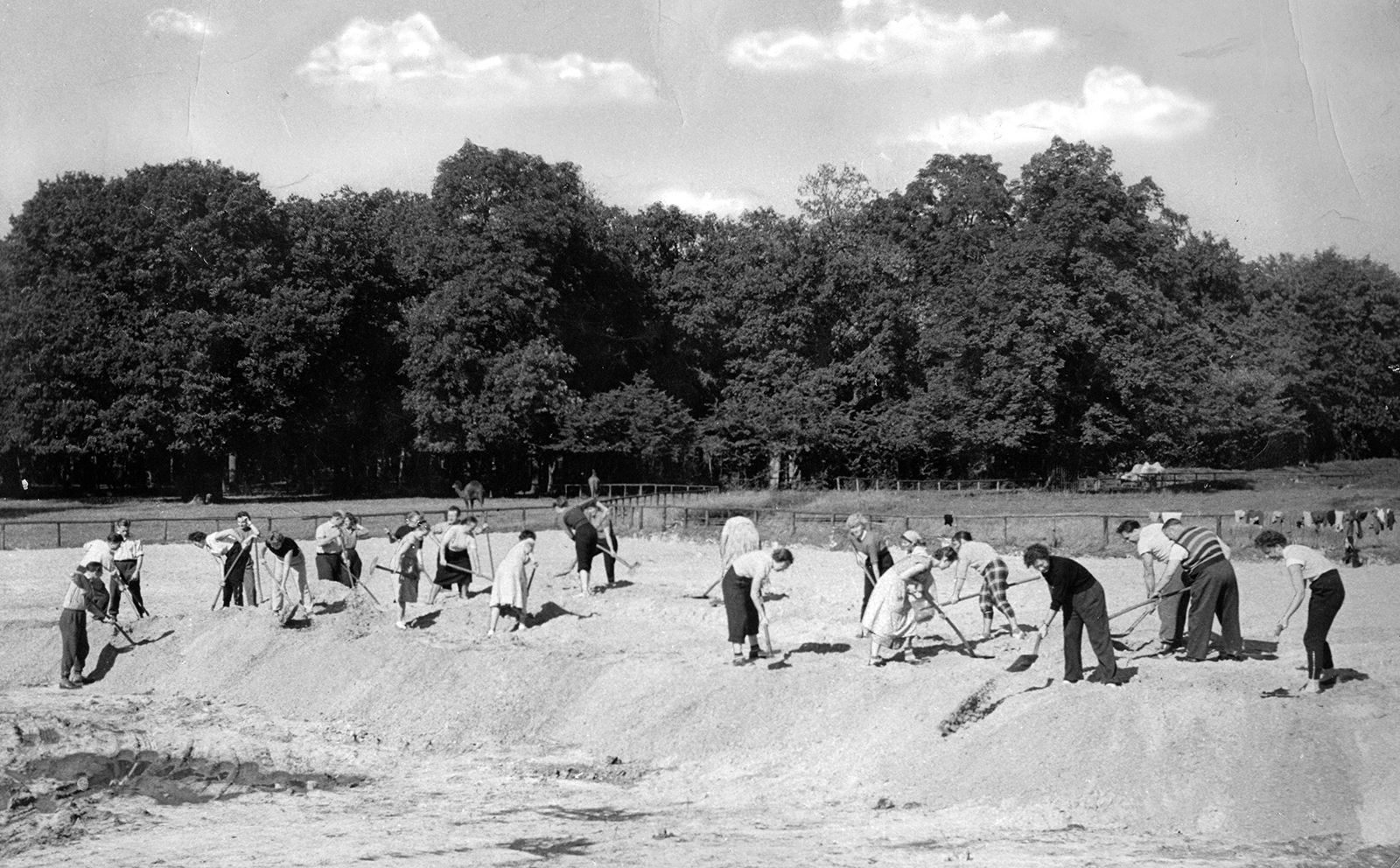 Zur Geschichte vom Förderverein der Freunde der Hauptstadtzoos